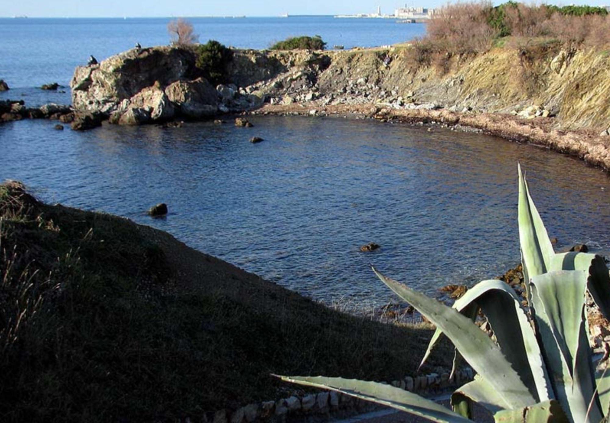 Appartamento A 100 Mt Dal Mare Livorno Exteriör bild